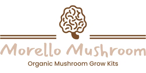 Morello Mushroom Promo Code