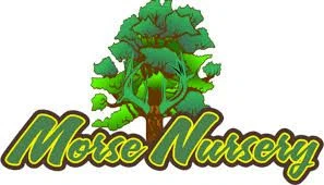 Morse Nursery Promo Code