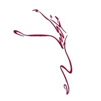 Movement Connection Promo Code
