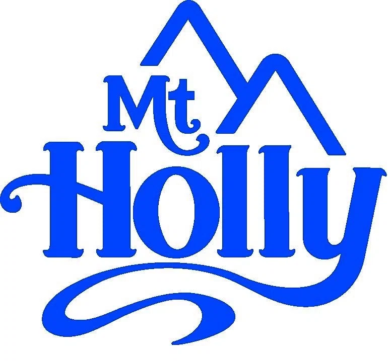 20 Off Mt. Holly Promo Code, Coupons February 2024
