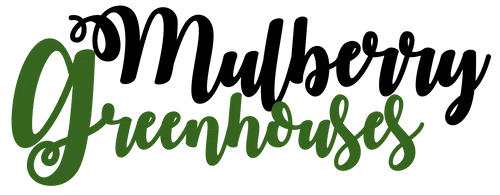 MulberryGreenhs Promo Code