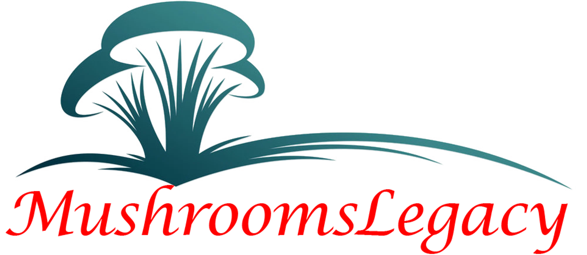 MUSHROOMS LEGACY Promo Code — 200 Off in Sep 2024