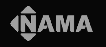 Namatiresonline Merchant Logo