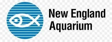 New england 2024 aquarium groupon