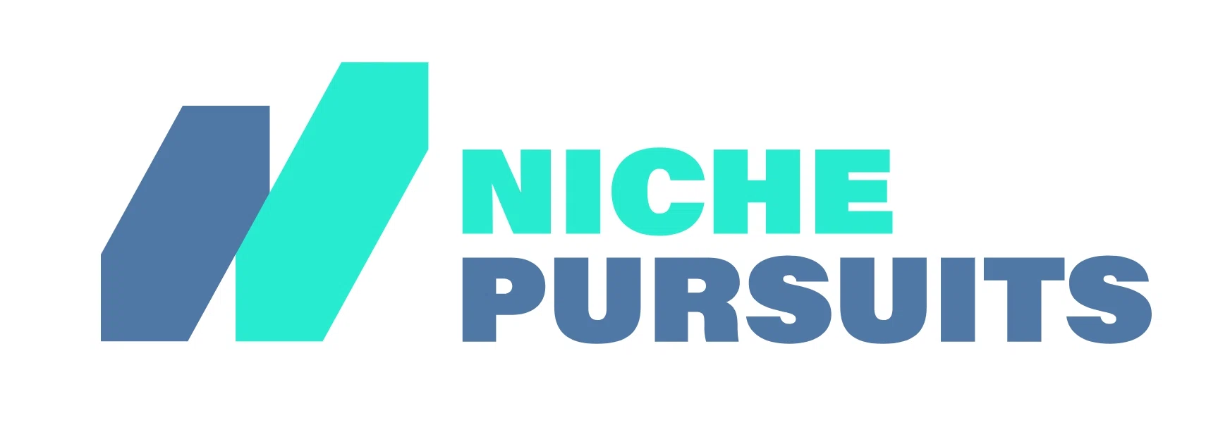 Niche Pursuits Promo Code