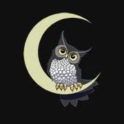 Nite Owl Ink Merchant Logo