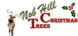NOB HILL CHRISTMAS TREES Promo Code — 100 Off 2024