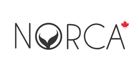 Norca Swim Promo Code