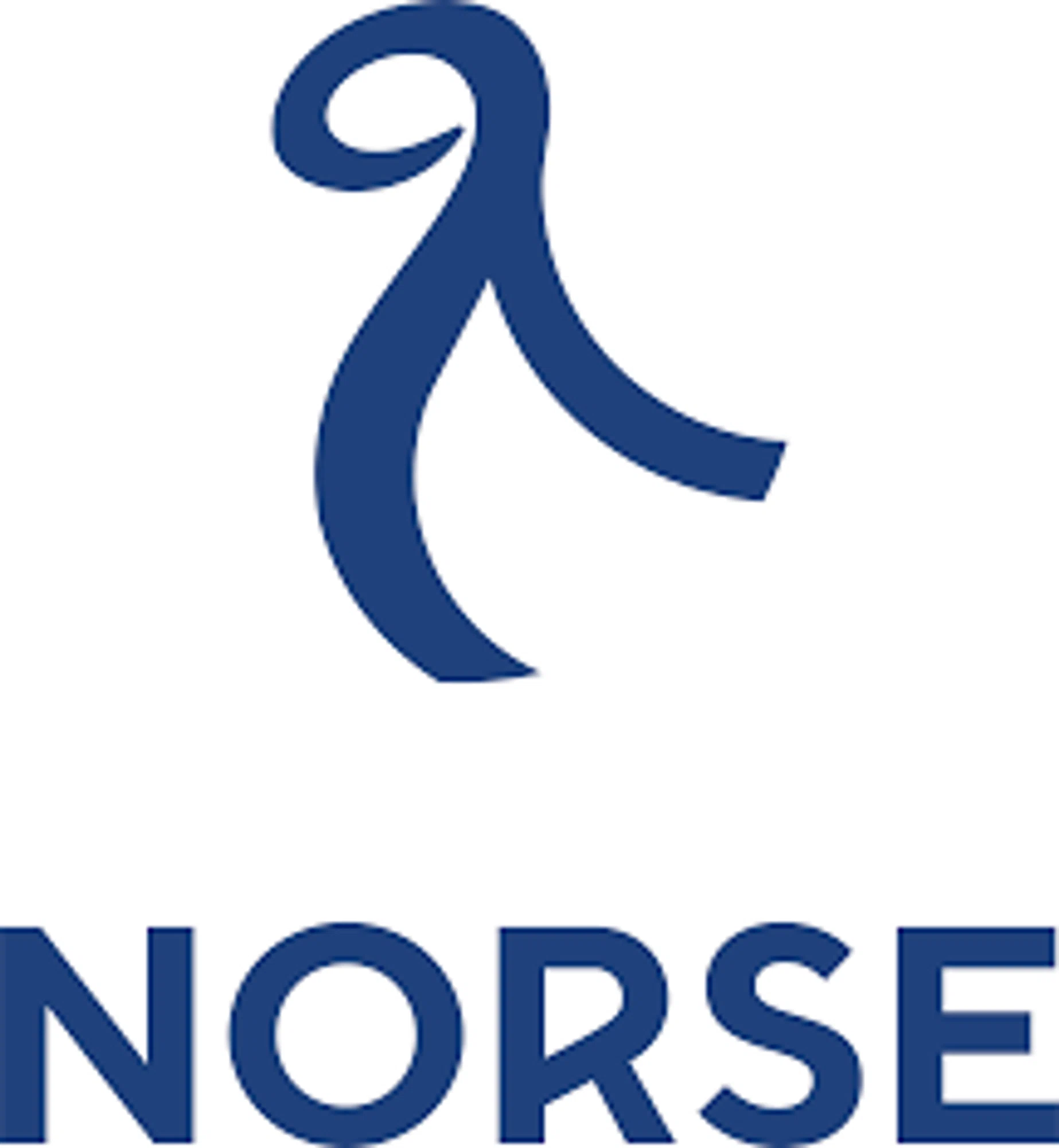 Norse Atlantic Airways IT Merchant Logo
