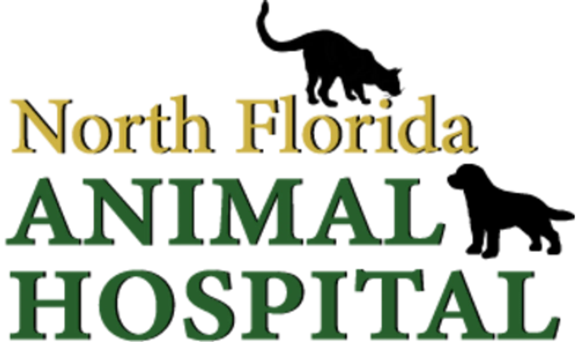 north florida animal hospital        
        <figure class=