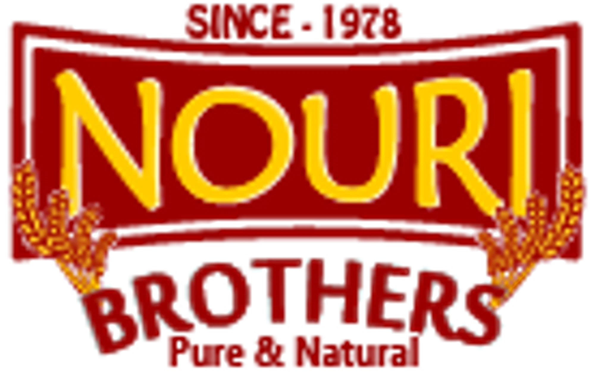 Nouri Brothers Merchant Logo