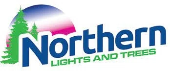 NORTHERN LIGHTS AND TREES Promo Code — 50 Off 2024