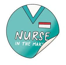 NurseInTheMaking Promo Code