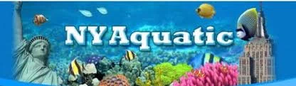 NYAquatic Merchant Logo