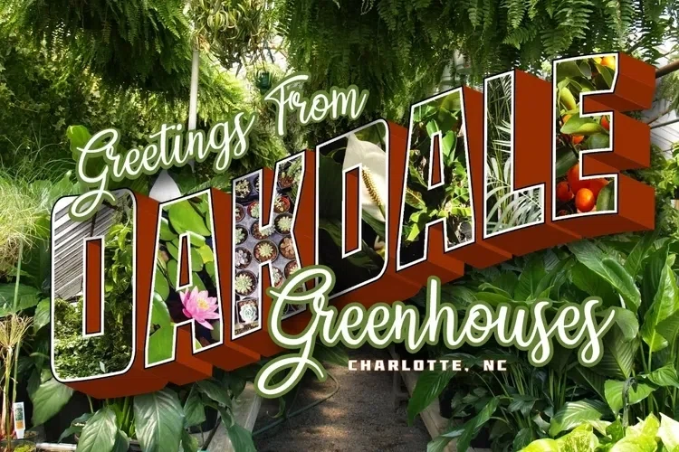 OAKDALE GREENHOUSES Promo Code — 200 Off 2024