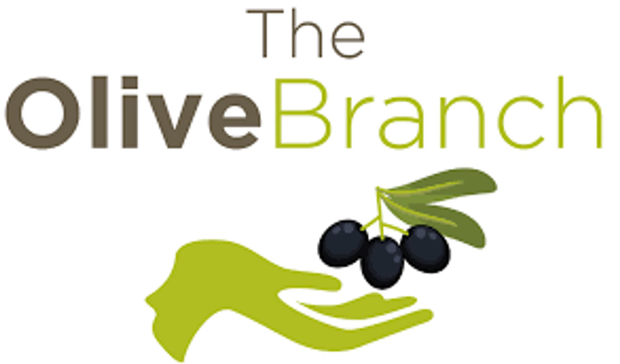 THE OLIVE BRANCH TOY SHOP Discount Code — 200 Off 2024