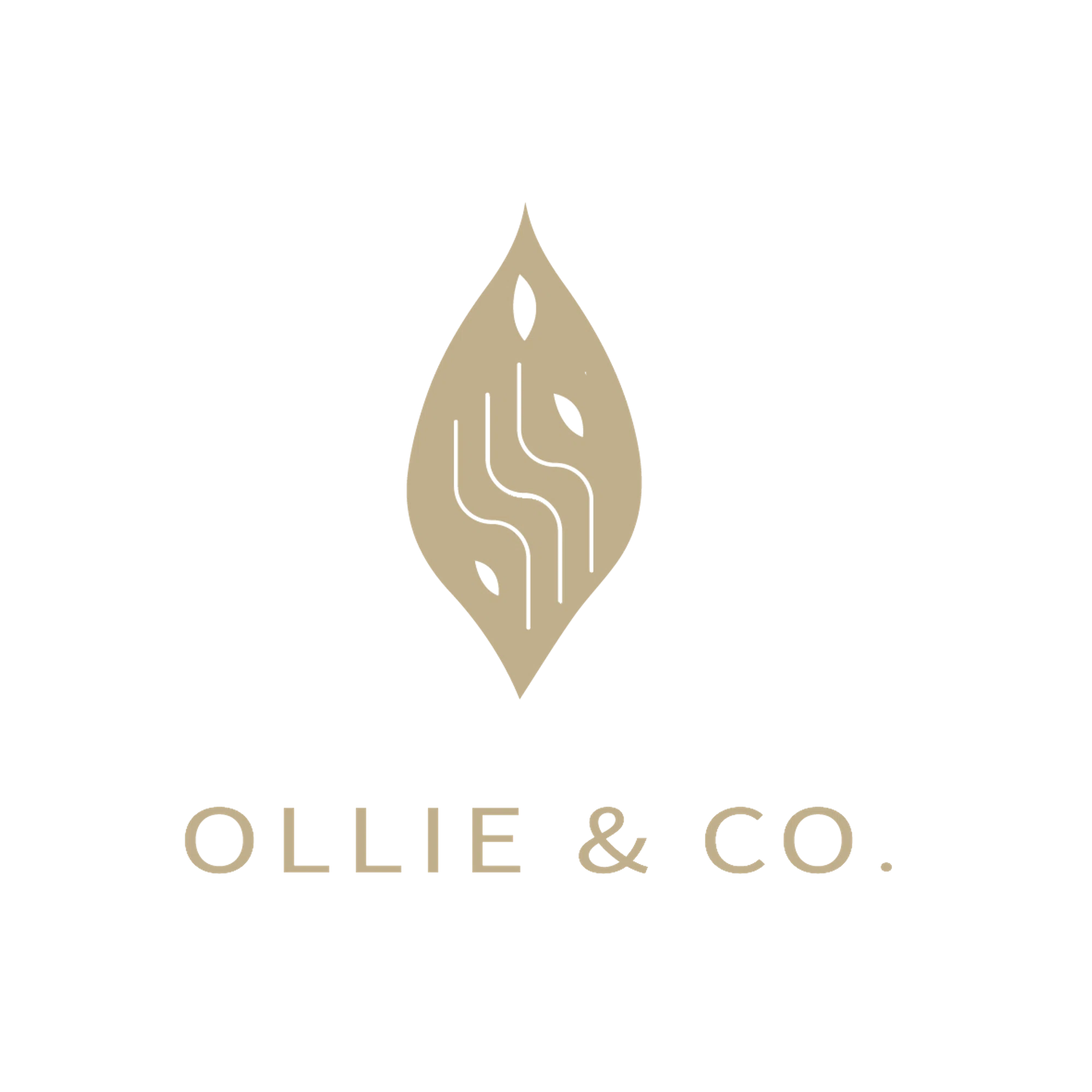 OLLIE & CO Promo Code — 15 Off (Sitewide) in Aug 2024