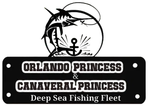 Orlando Princess Discount Codes - $200 Off in Dec 2025