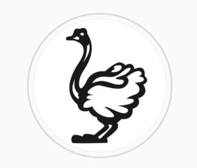 OSTRICH BRAILLE Promo Code — 200 Off in October 2024