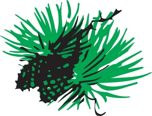 Outdoor News Merchant Logo