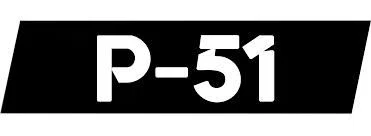 P-51 Bikes Promo Code
