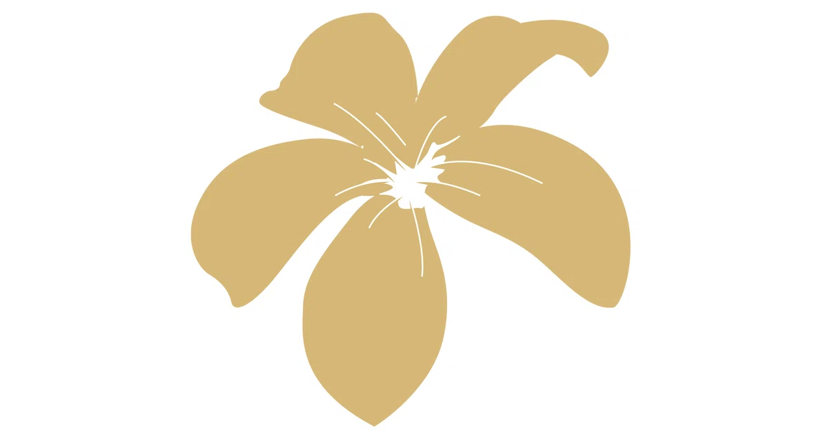 Pacific Touch NYC Promo Code