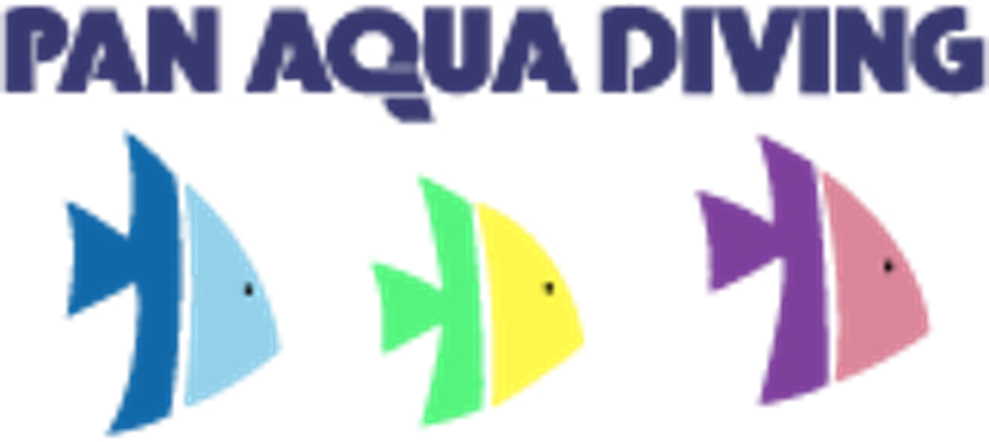 Pan Aqua Diving Merchant Logo