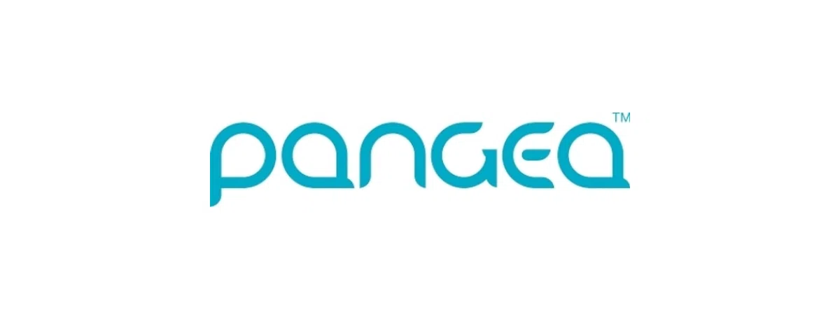 PANGEA MONEY TRANSFER Promo Code — 25 Off 2024