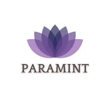 Paramint Designs Merchant Logo