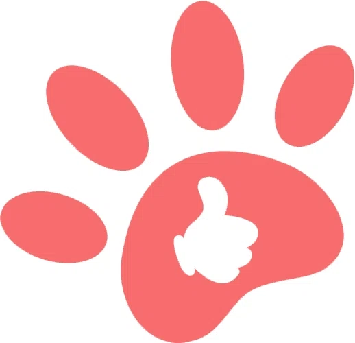 PAWFECT SNAPSHOTS Promo Code — 50 Off in Sep 2024