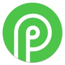 Payid19.com Promo Code