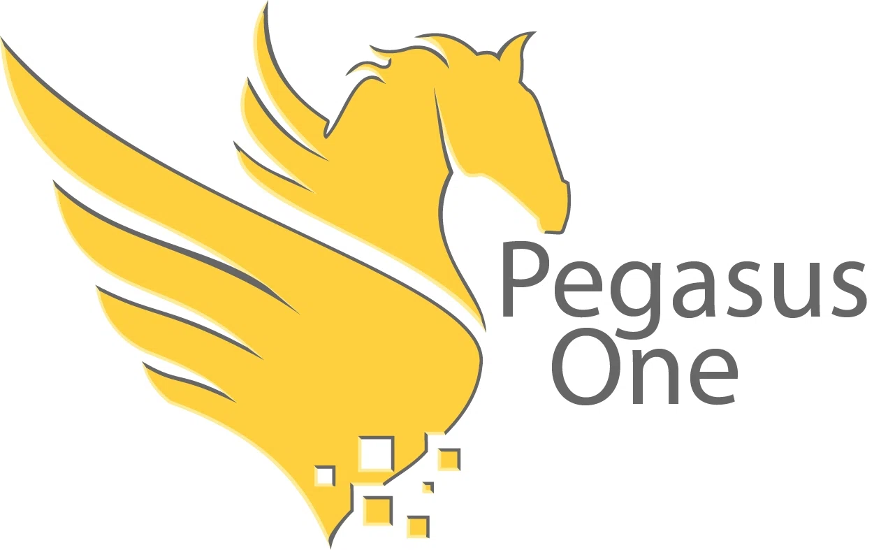 PEGASUS ONE Promo Code — Get 100 Off in August 2024