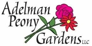 Peony Paradise Merchant Logo