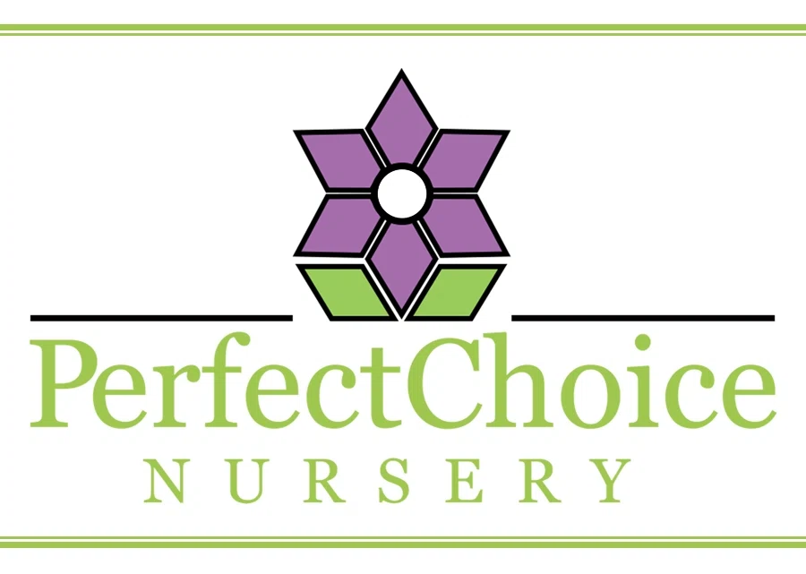 PERFECT CHOICE NURSERY Promo Code — 150 Off 2024