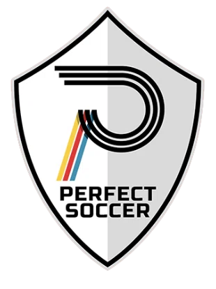 Perfect Soccer Promo Code
