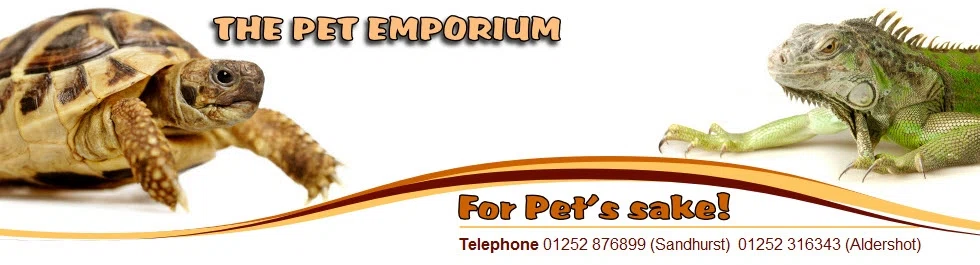 PETE'S PET EMPORIUM Discount Code — 200 Off 2024