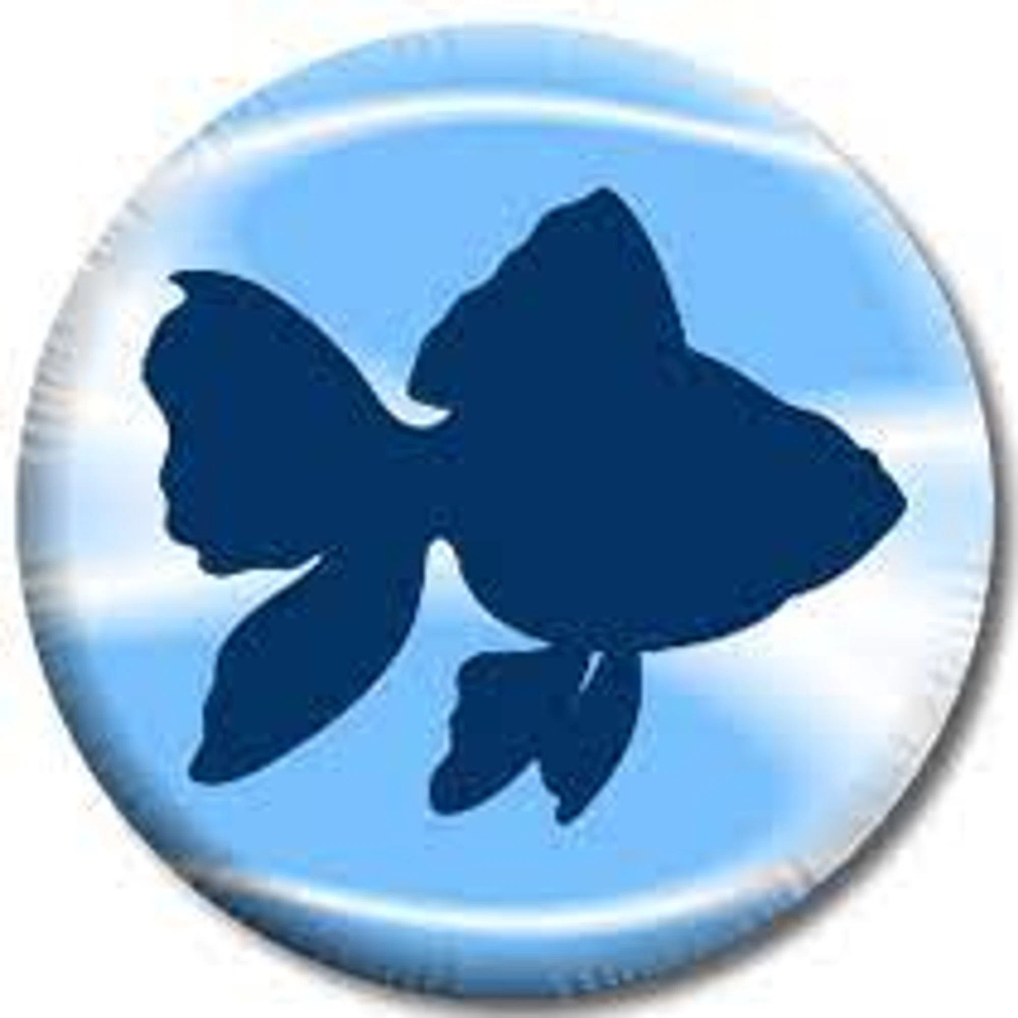 PETE'S AQUARIUMS & FISH Promo Code — 40 Off 2024