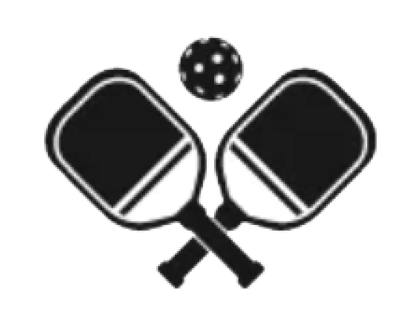 PICK A PICKLEBALL PADDLE Promo Code — 100 Off 2024