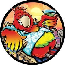 Pie Eyed Parrot Merchant Logo