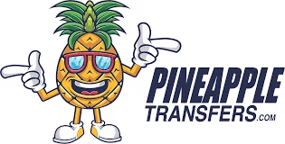 Pineapple Transfers Promo Code