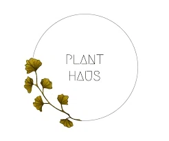 Plant Haus Designs Merchant Logo
