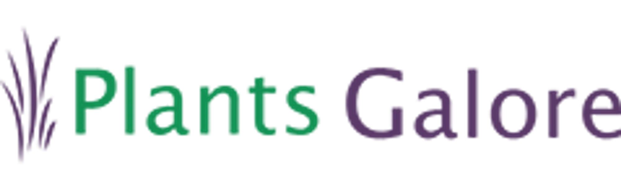 PLANTS GALORE ONLINE Discount Code — 200 Off 2024