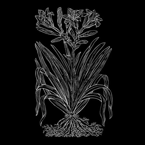 20 Off Plant Specialists Promo Code, Coupons Sep 2024