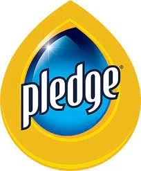 Pledge Promo Code