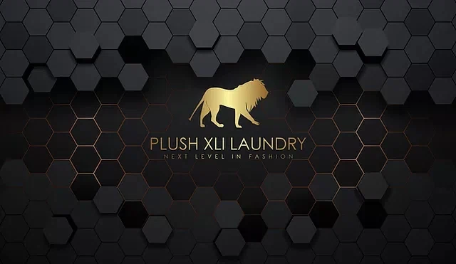PLUSH XLI LAUNDRY Promo Code — 25 Off in Aug 2024