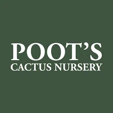 POOT’S CACTUS Promo Code — 150 Off in August 2024