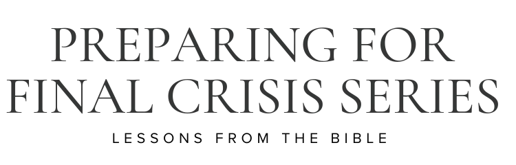 Preparing For Final Crisis Merchant Logo