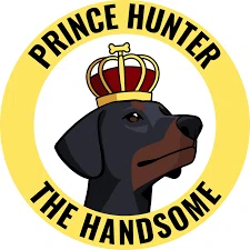 Prince Hunter the Handsome Promo Code