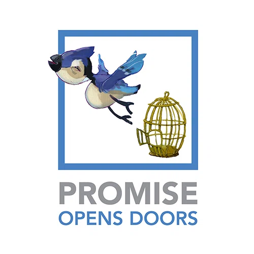 Promise Opens Doors Merchant Logo