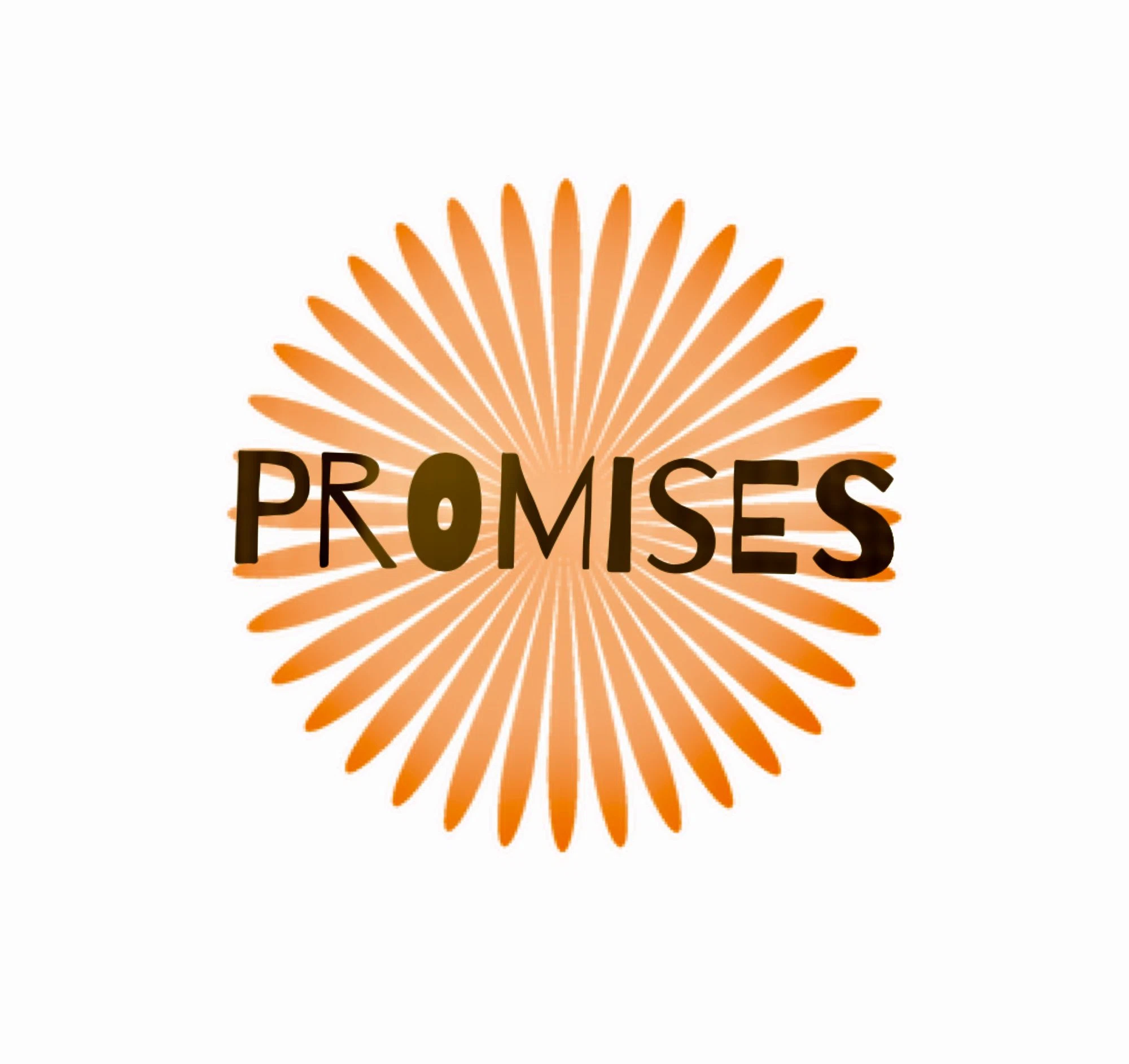 Promisestorecare Promo Code